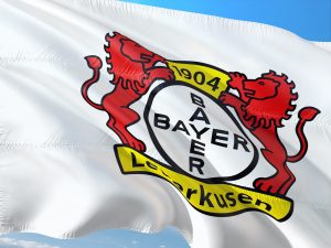 Flagge Bayer 04 Leverkusen